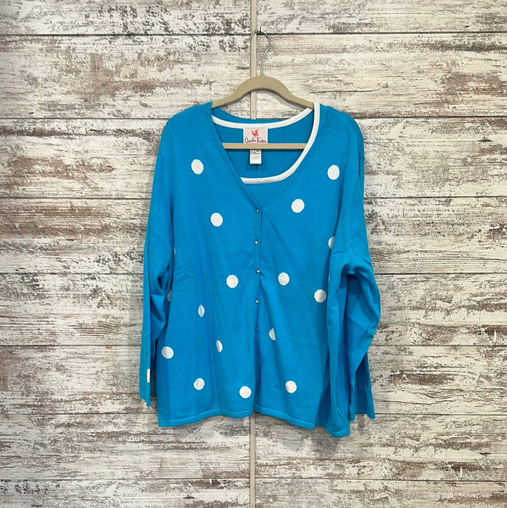 BLUE 2 PC. SWEATER SET-NEW $69