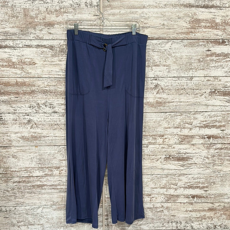 BLUE STRETCH PANTS