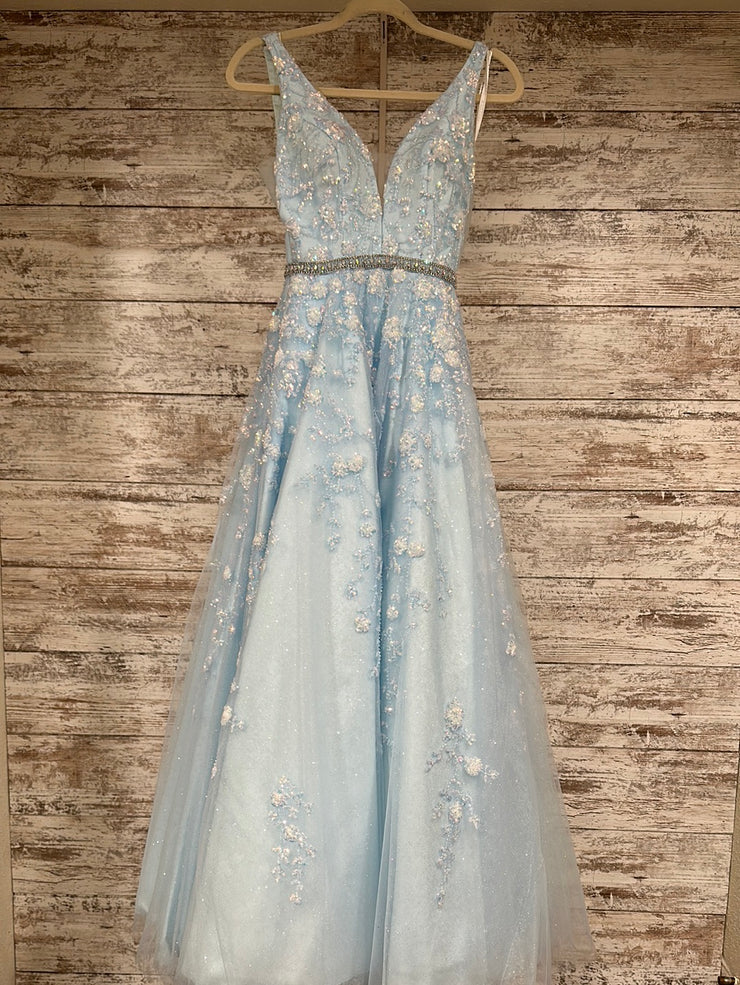 BLUE/FLORAL PRINCESS GOWN