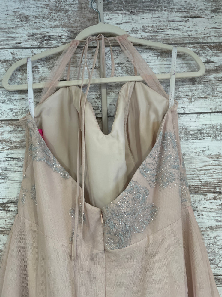 BLUSH SPARKLY LONG DRESS