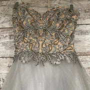 GRAY PRINCESS GOWN