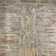 TAN/SILVER SPARKLY LONG DRESS