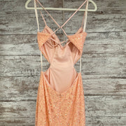 PEACH LACE LONG DRESS (NEW)