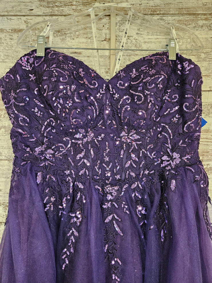 PURPLE PRINCESS GOWN