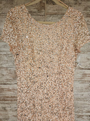 PINK SEQUIN LONG DRESS (NEW)