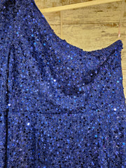 ROYAL BLUE SPARKLY DRESS (NEW)