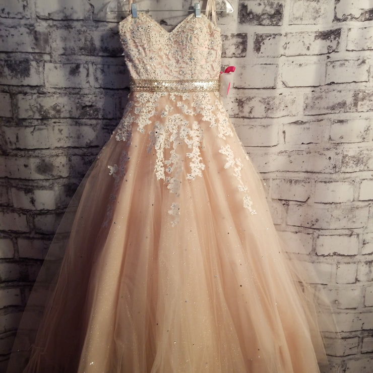 BLUSH/IVORY PRINCESS GOWN