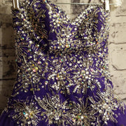 PURPLE PRINCESS GOWN