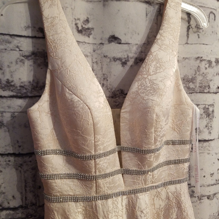 BLUSH A LINE GOWN (NEW)