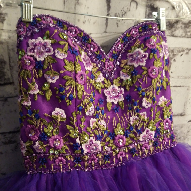 PURPLE PRINCESS GOWN (NEW)