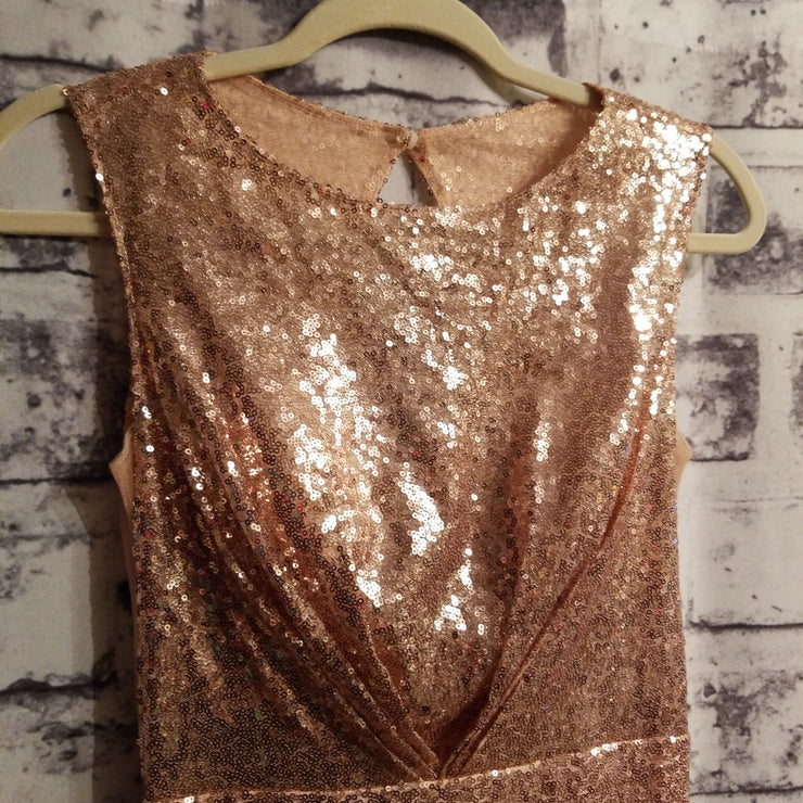 BLUSH/GOLD SEQUIN LONG DRESS (NEW)