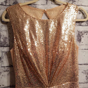 BLUSH/GOLD SEQUIN LONG DRESS (NEW)