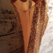 BLUSH/GOLD SEQUIN LONG DRESS (NEW)