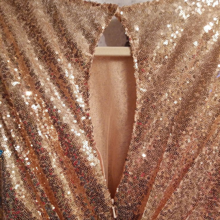 BLUSH/GOLD SEQUIN LONG DRESS (NEW)