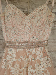 BLUSH/WHITE LACE PRINCESS GOWN