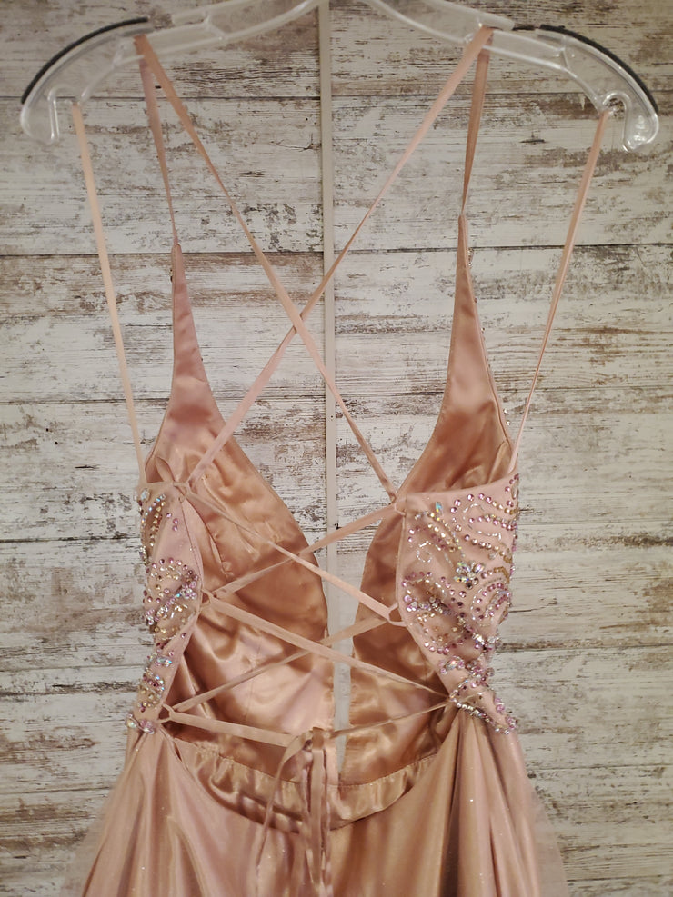 BLUSH SPARKLY A LINE GOWN