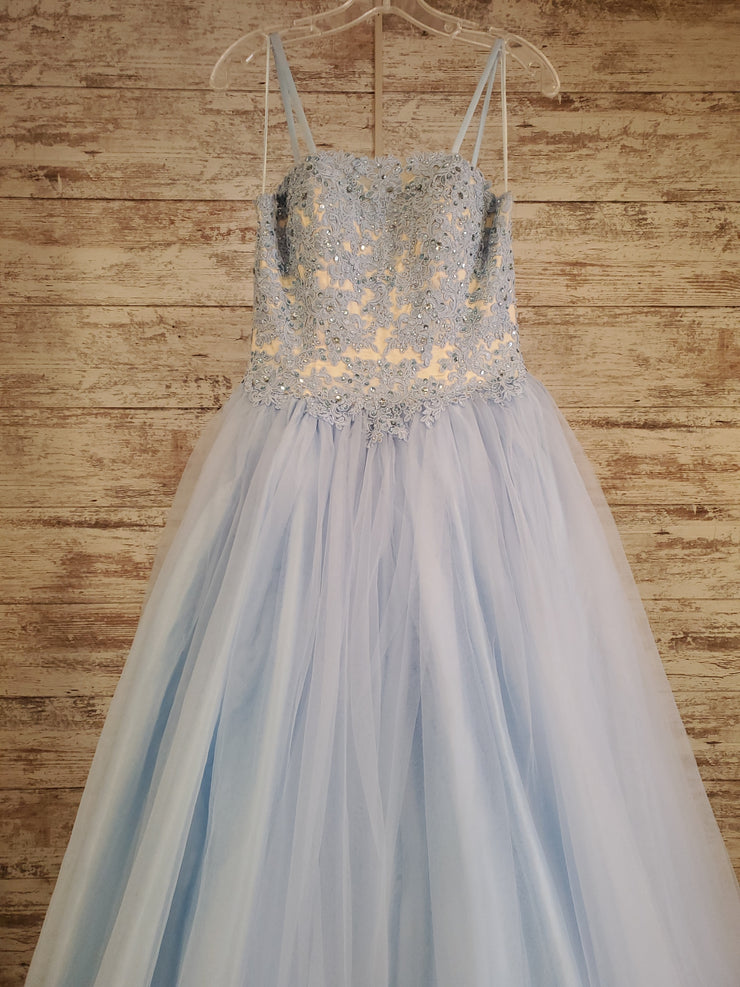 BLUE/WHITE PRINCESS GOWN