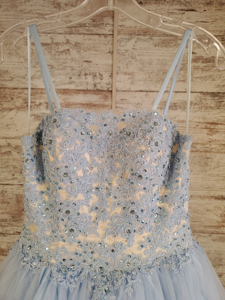 BLUE/WHITE PRINCESS GOWN