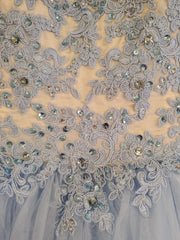 BLUE/WHITE PRINCESS GOWN