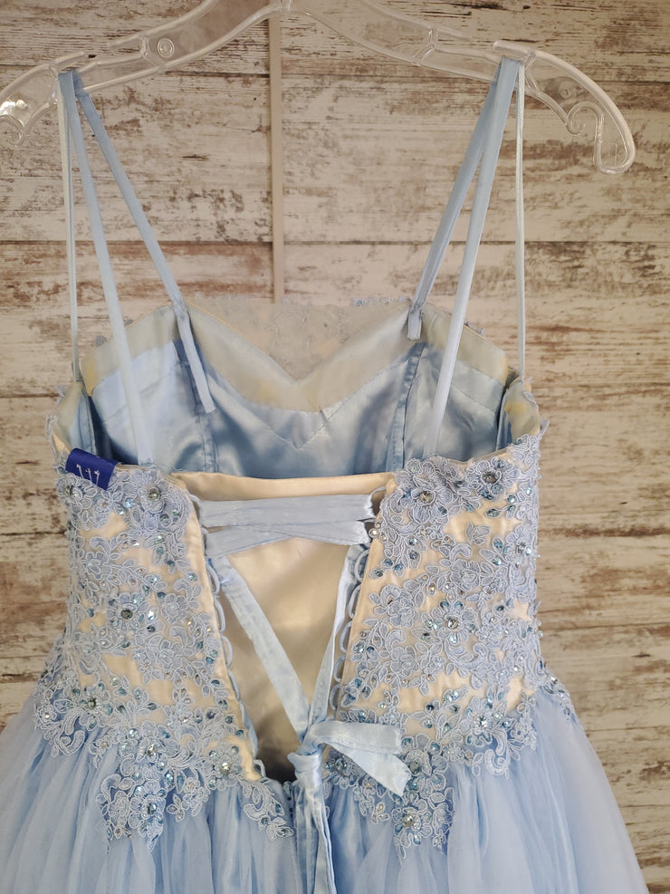 BLUE/WHITE PRINCESS GOWN