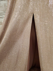 BLUSH SPARKLY A LINE GOWN