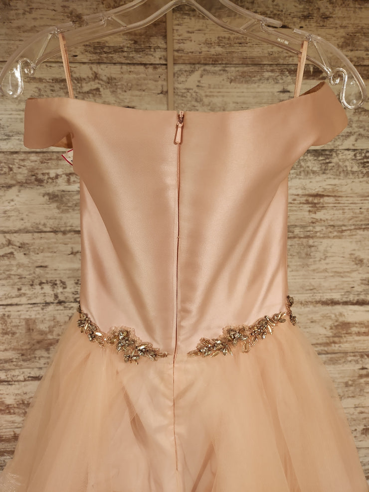 PINK RUFFLED PRINCESS GOWN