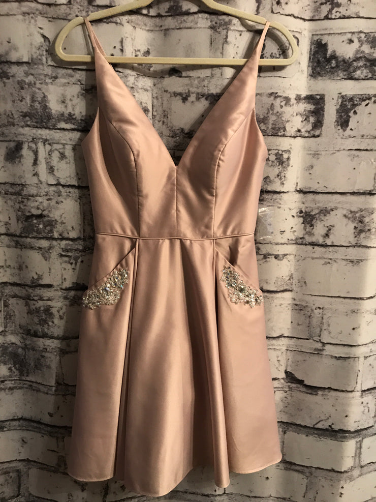 BLUSH SHORT DRESS (NEW)