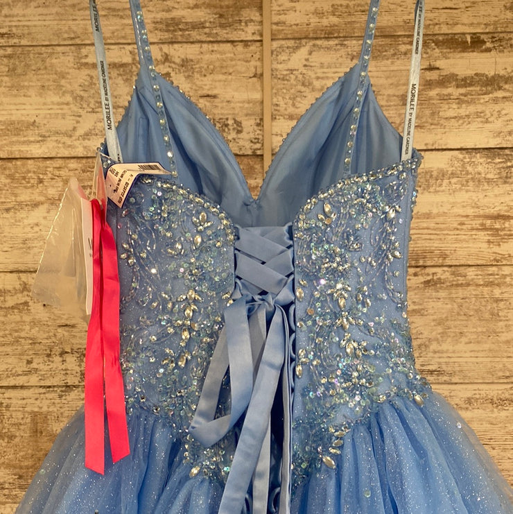 BLUE PRINCESS GOWN (NEW) $950