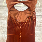 BRONZE VELVET LONG DRESS