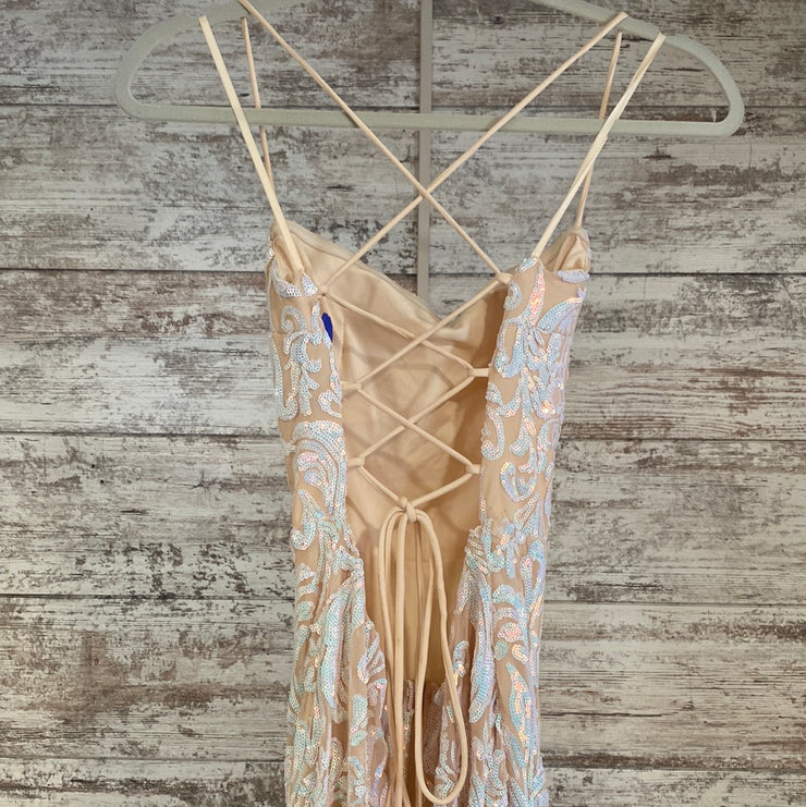 BLUE/PINK TAN SEQUIN LONG DRES