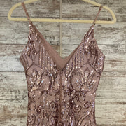 BLUSH SPARKLY LONG DRESS