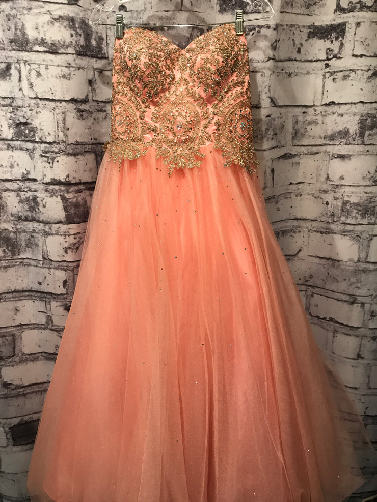 PINK/GOLD PRINCESS GOWN * *