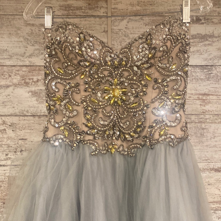 GRAY/SILVER PRINCESS GOWN