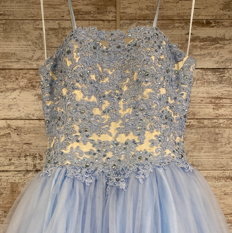 BLUE PRINCESS GOWN