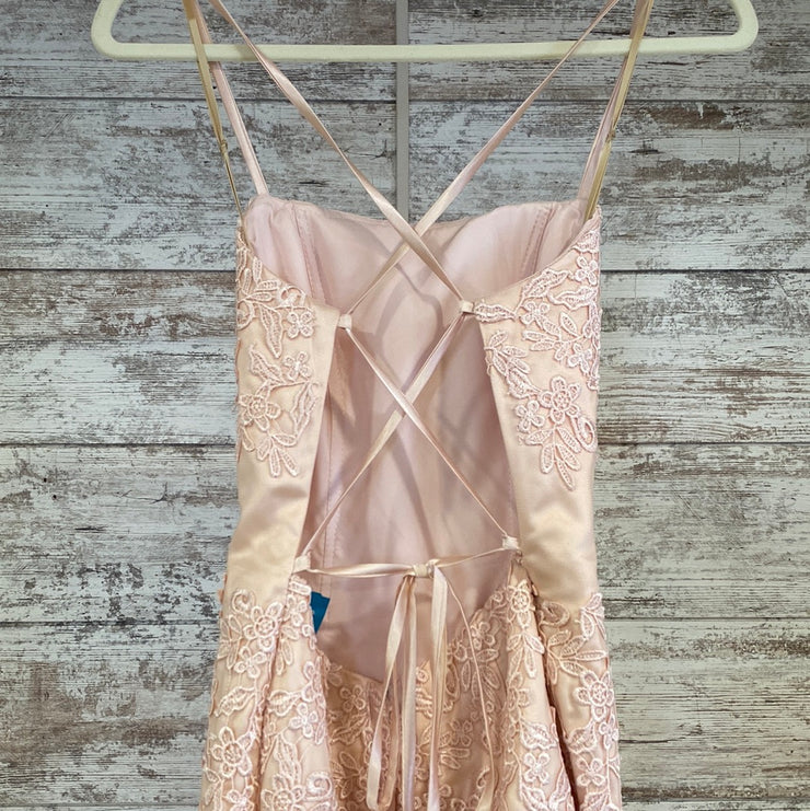 PINK LACE MERMAID GOWN